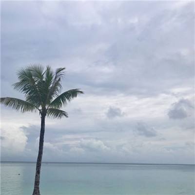 射击间谍游戏下载
