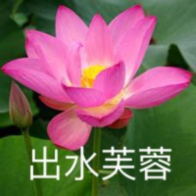 虚空太境正式版下载